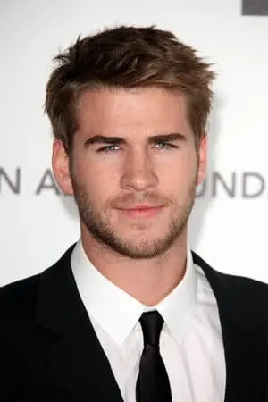 Liam Hemsworth Poster